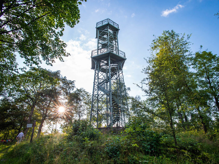 Blick auf den Wilzenbergturm bei Grafschaft im Schmallenberger Sauerland